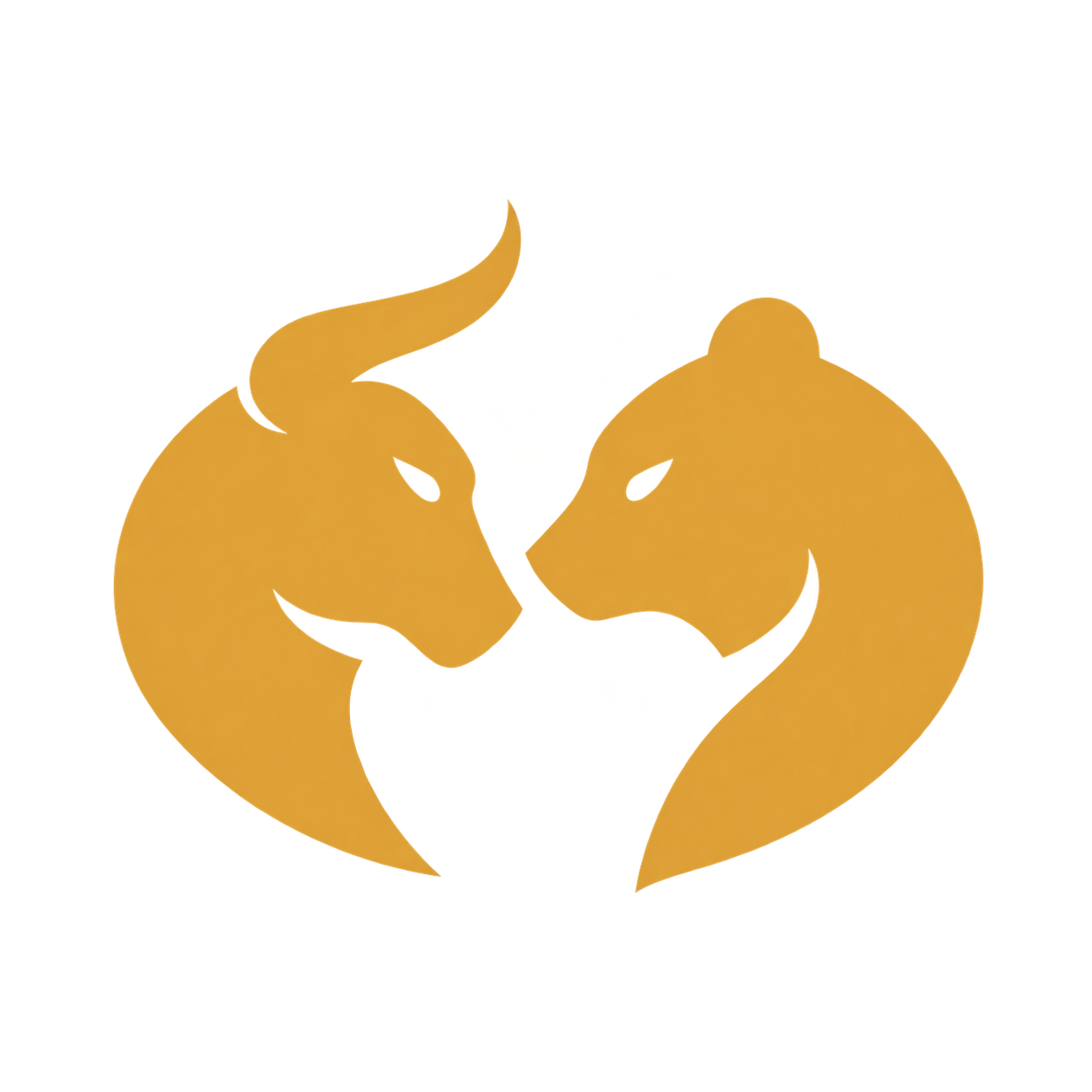 Bull & Bear Strategies